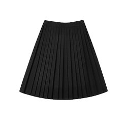 Pleated Skirt