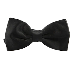 Bow tie